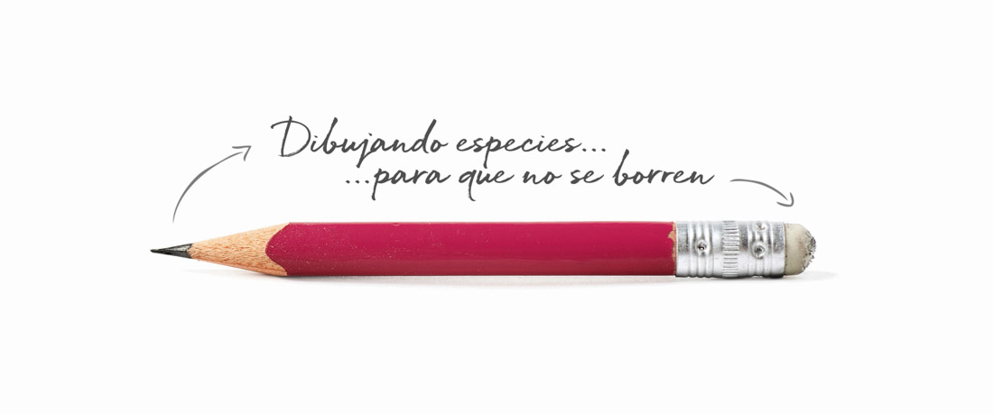 ©All rights reserved - Minimizan diseño de imagen promocional con slogan de Artimalia