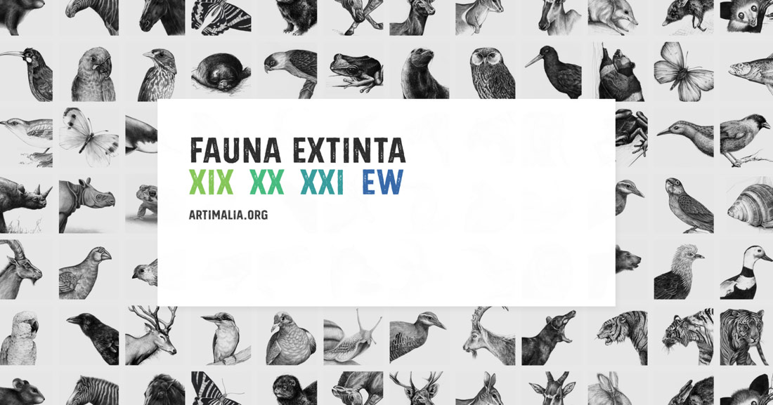 ©All rights reserved - Minimizan diseño de identidad visual de Artimalia