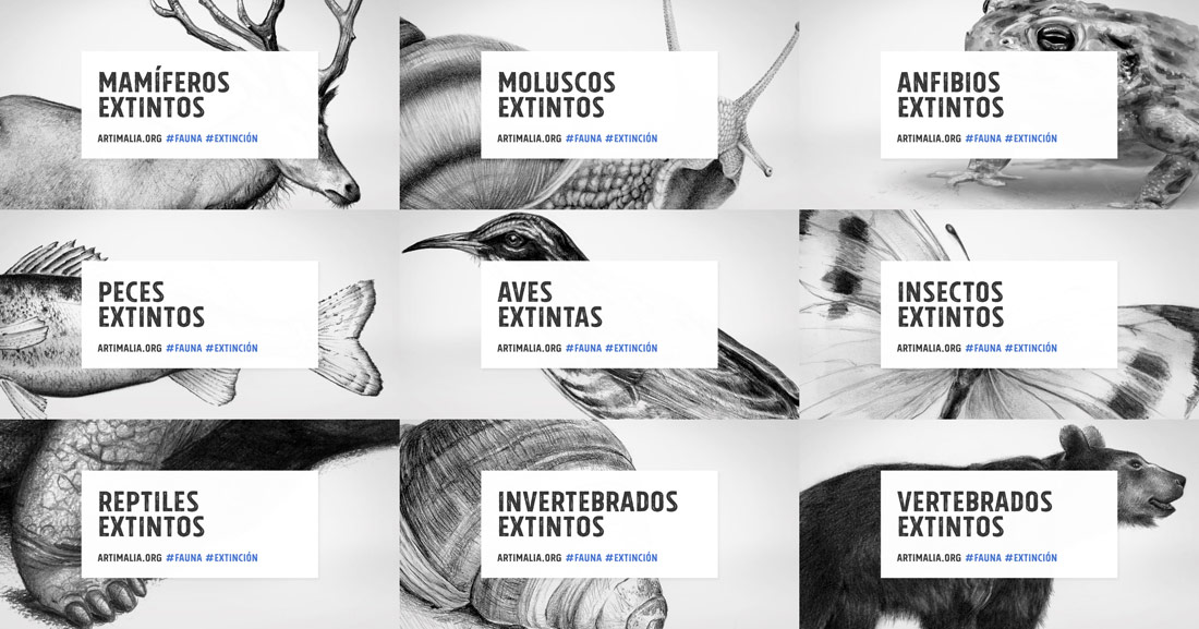 ©All rights reserved - Minimizan diseño de identidad visual para Artimalia