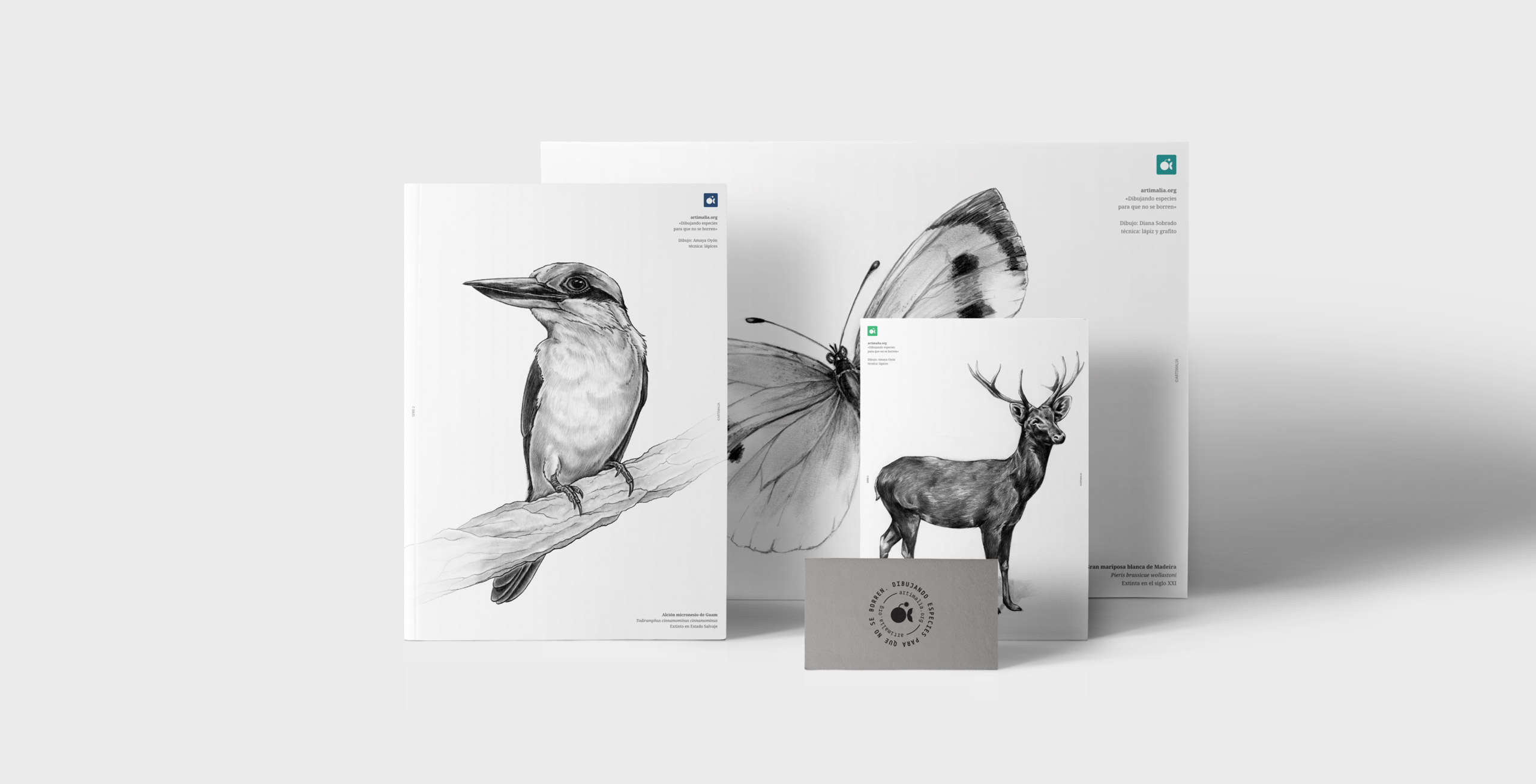 ©All rights reserved - Minimizan diseño de identidad de Artimalia