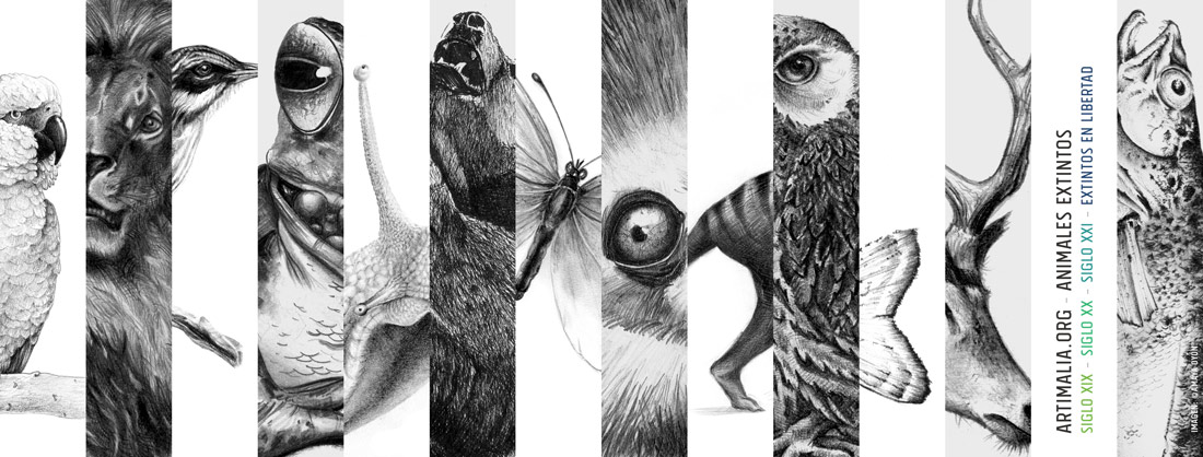 ©All rights reserved - Minimizan diseño de imagen para redes sociales para Artimalia