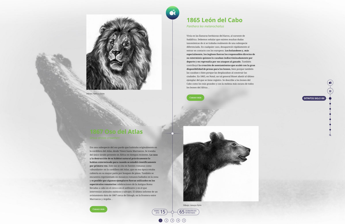 Pagina web para proyecto de sensibilizacion sobre fauna salvaje extinta diseño de página web para Artimalia