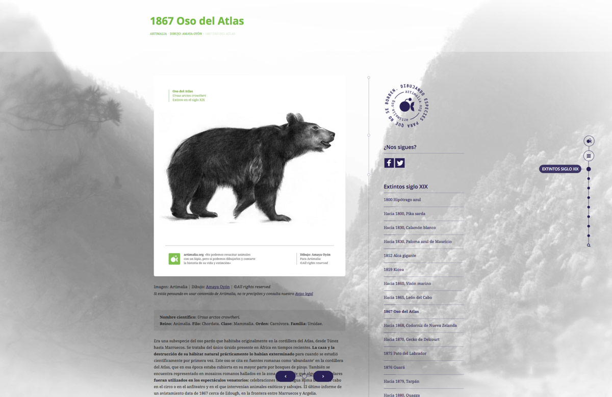 Pagina web para proyecto de sensibilizacion sobre fauna salvaje extinta detalle de apartado de diseño de página web para Artimalia