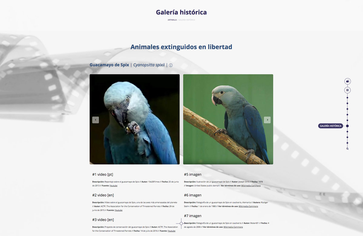 Pagina web para proyecto de sensibilizacion sobre fauna salvaje extinta diseño de galería multimedia online para Artimalia