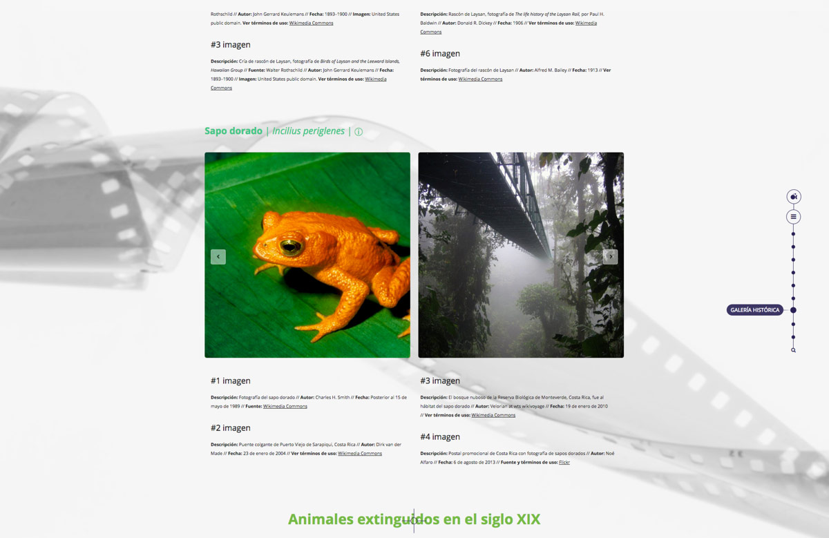 Pagina web para proyecto de sensibilizacion sobre fauna salvaje extinta diseño de galería multimedia onteractiva para Artimalia