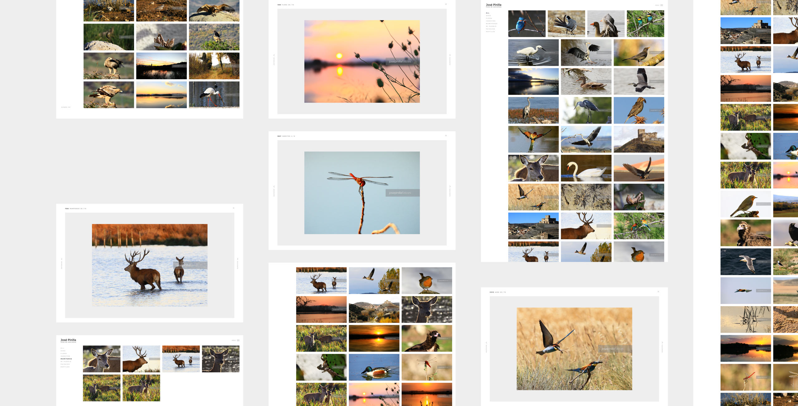 Pagina web para albumes fotograficos de paisaje y naturaleza distintas pantallas de pagina web para albumes fotograficos de paisaje y naturaleza