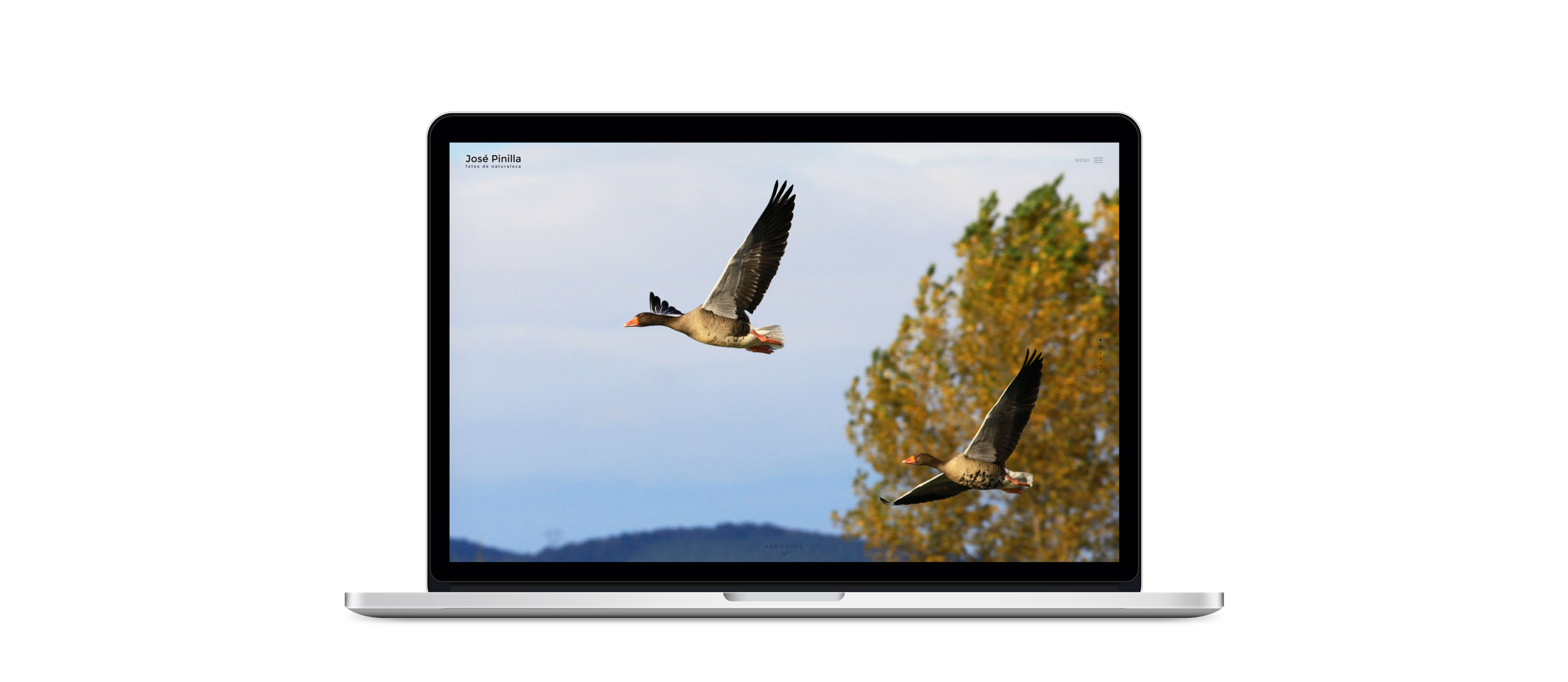 pagina_web_josepinillafoto_portada_nw