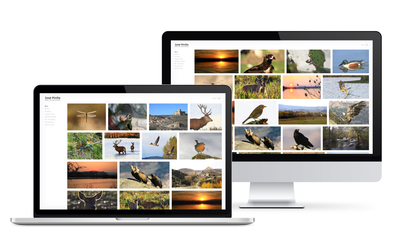 Pagina web para albumes fotograficos de paisaje y naturaleza Pagina web para albumes fotograficos de paisaje y naturaleza