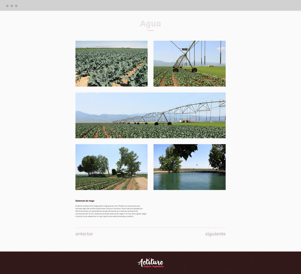 pagina_web_actiture_agua página web actiture.bio galería