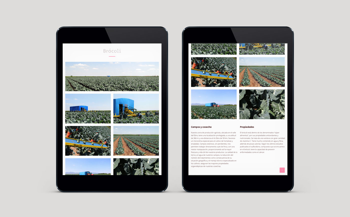pagina_web_actiture_album_brocoli_act diseño de web sección álbum multimedia en 2 ipads para Actiture