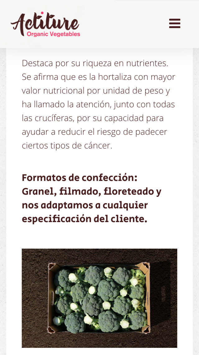 pagina_web_actiture_carrusel_3 presentación de comportamiento responsio para la web actiture.bio imagen 3