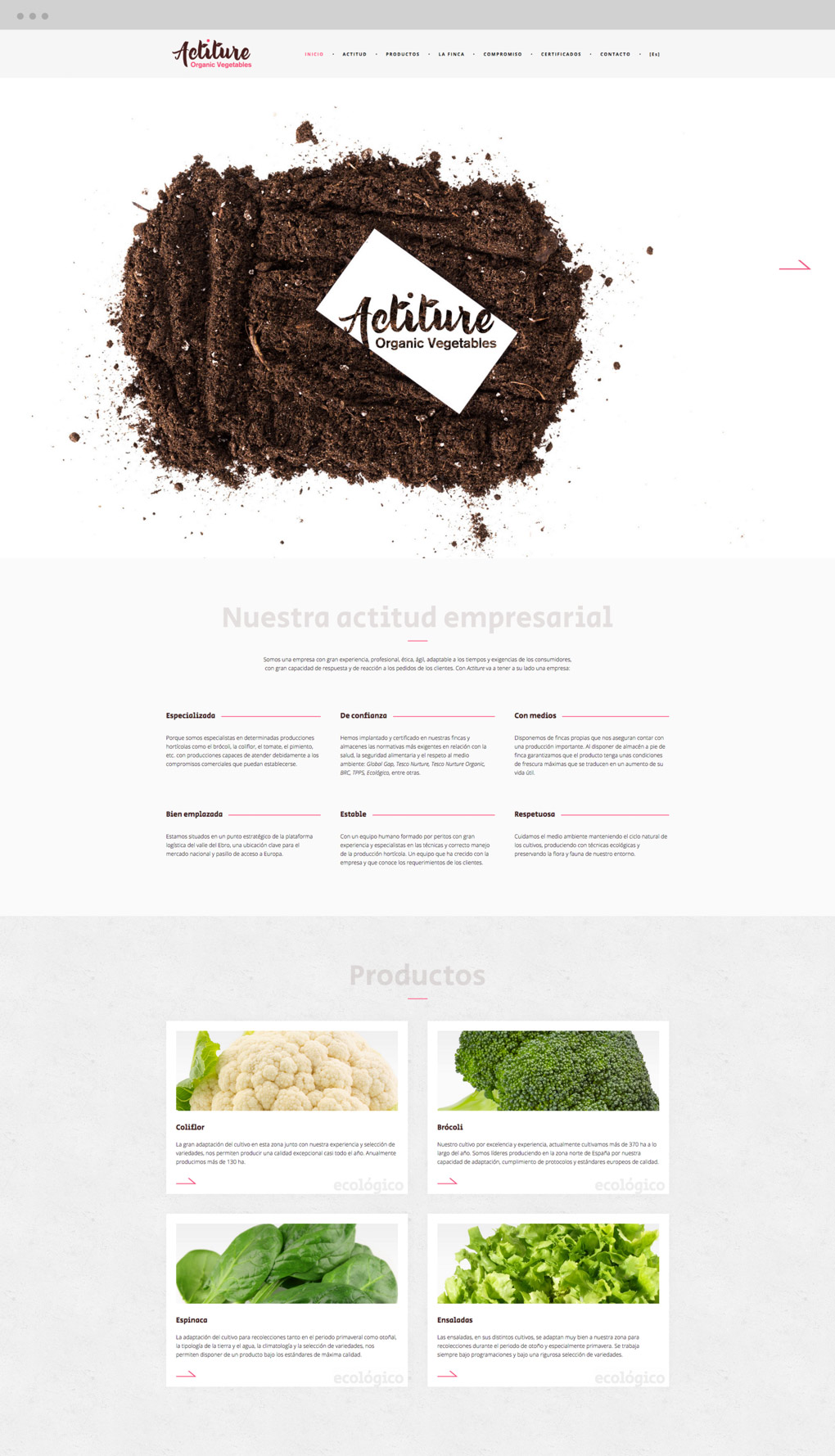 pagina_web_actiture_pantalla20_inicio diseño de página web para Actiture