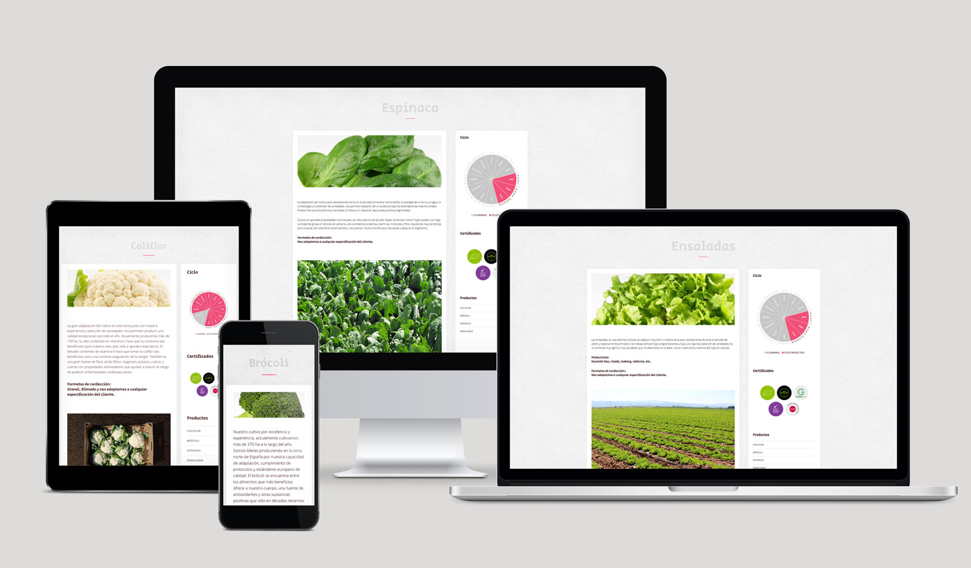 pagina_web_actiture_productos_ficha_act diseño de web sección álbum multimedia multidispositivo para Actiture