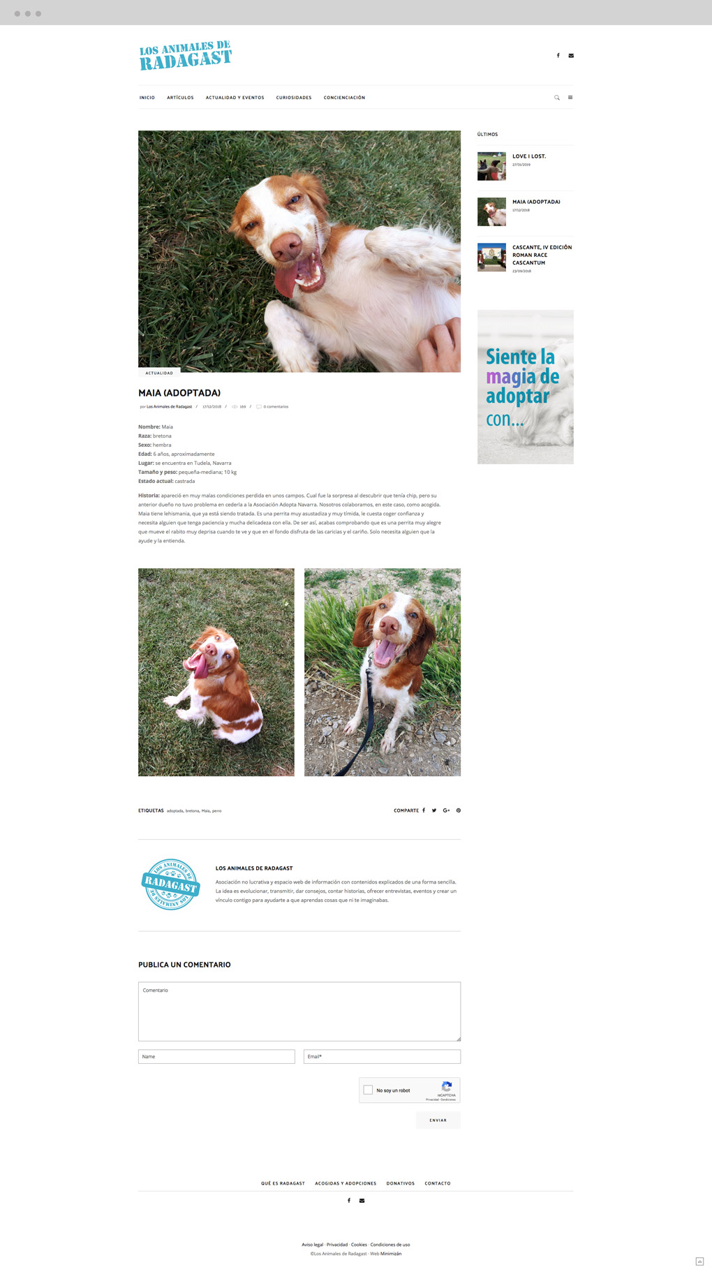 pagina_web_radagast_pantalla20_maia presentación de diseño de magazine electrónico dedicado a los animales y la naturaleza pantalla de adopciones